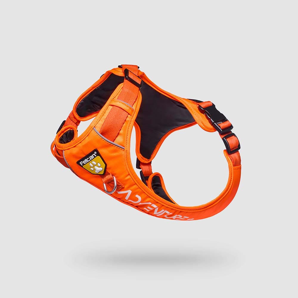 pecheras-para-perros