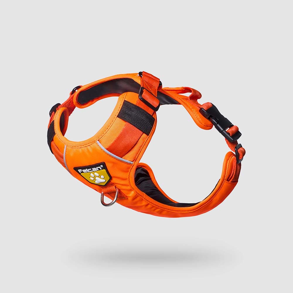 pecheras-para-perros