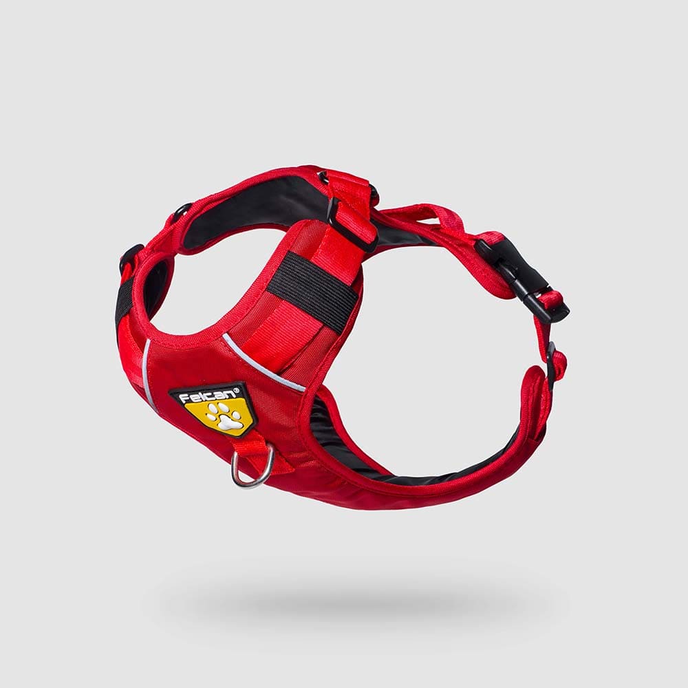 pecheras-para-perros