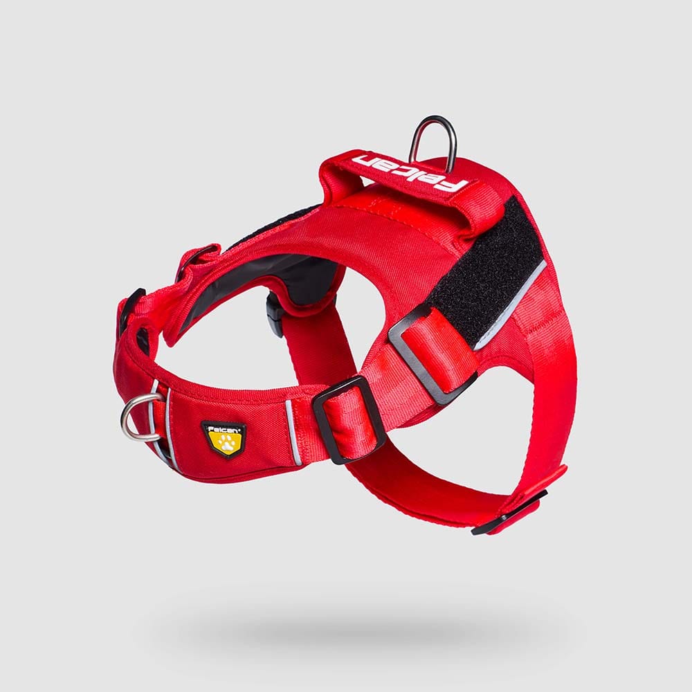 pecheras-para-perros