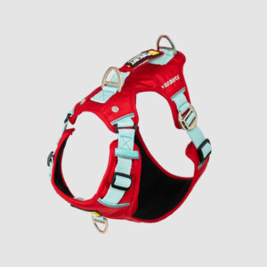 Arnés-super-aventurero-rojo+menta