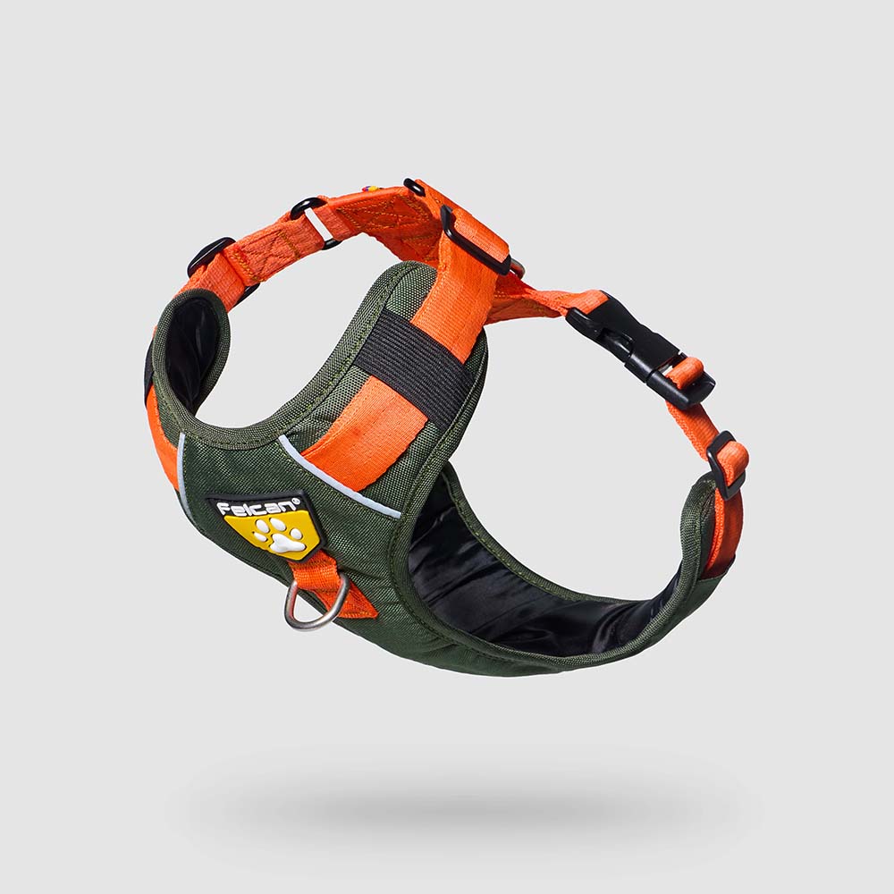 pecheras-para-perros