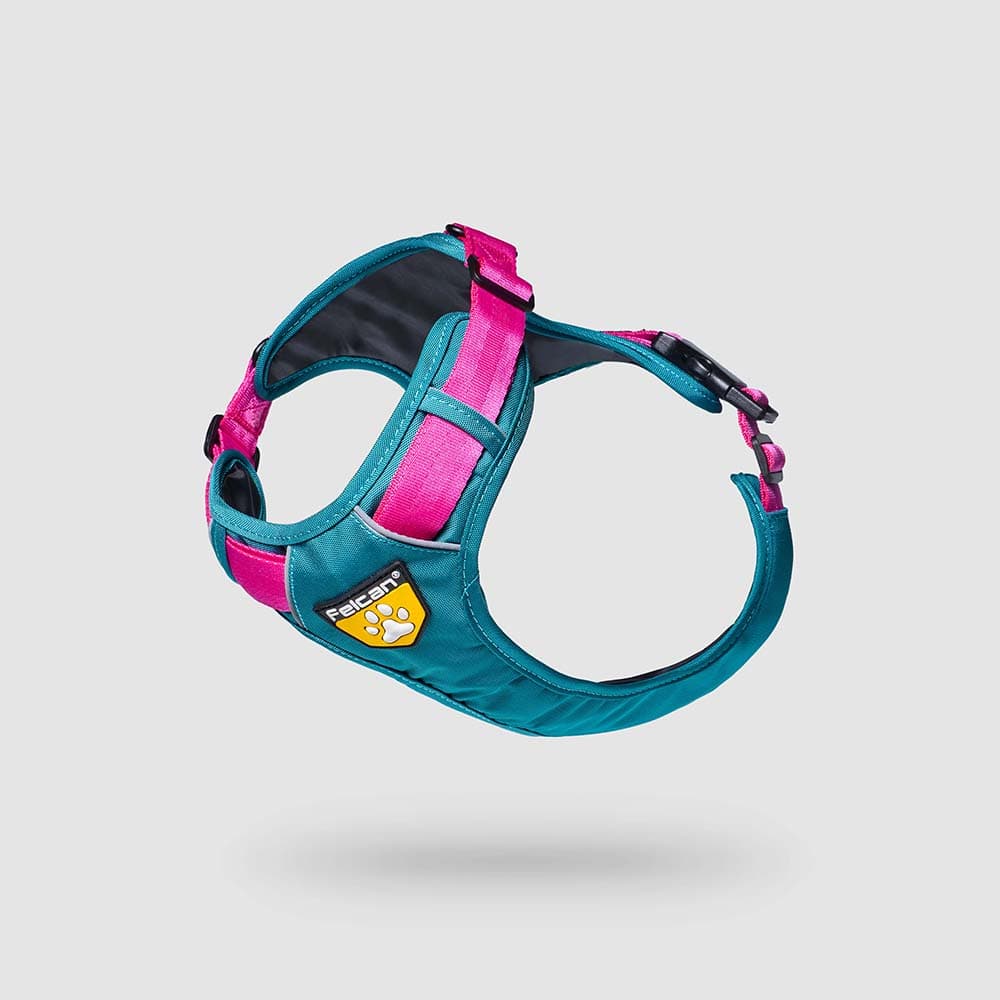 pecheras-para-perros