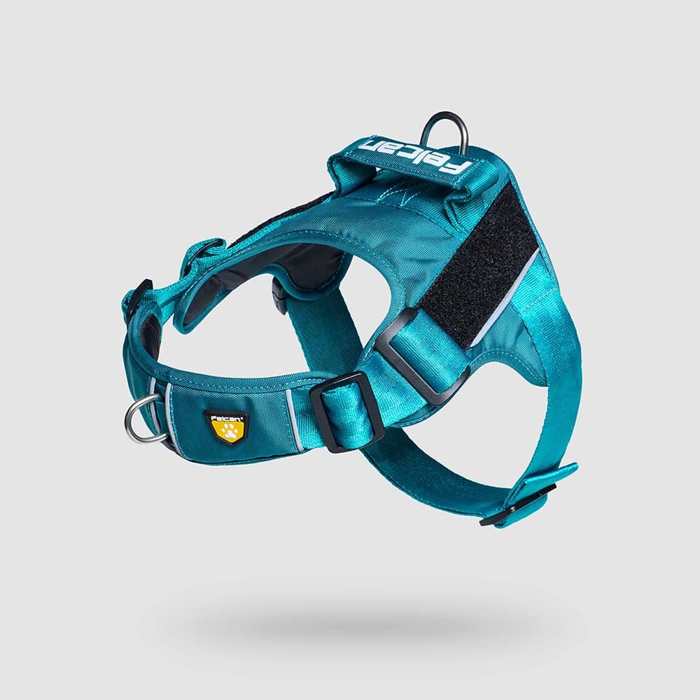 pecheras-para-perros