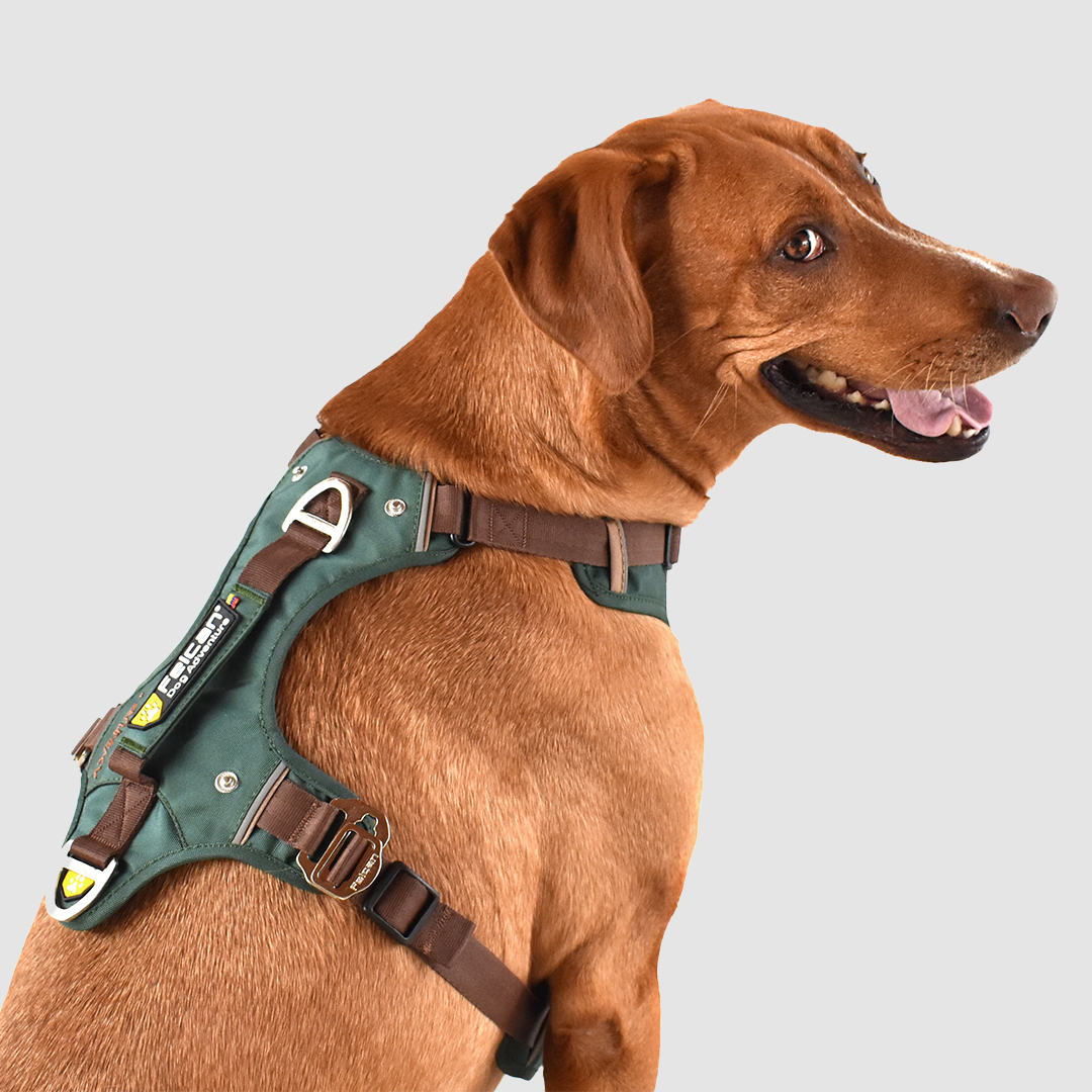 arnés-super-aventurero-verde-militar+café